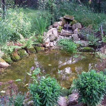 Pond & Rain-Garden For a Very Wet Toronto Property