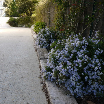 Parterres de fleurs