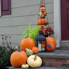 Holidays. Halloween