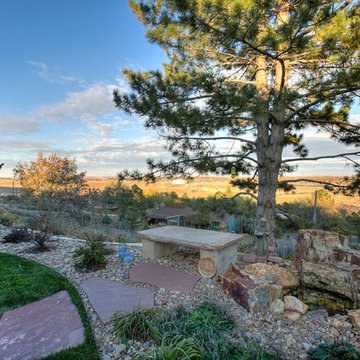 Ponderosa Renovation