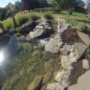 Fish Pond Rebuild