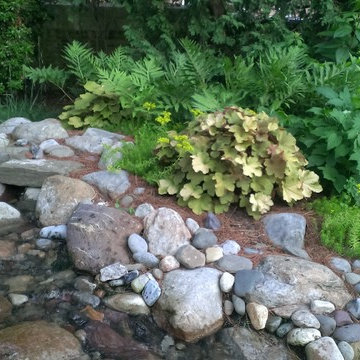 Rainwater Harvesting System & Planting