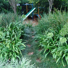 Side Pathway