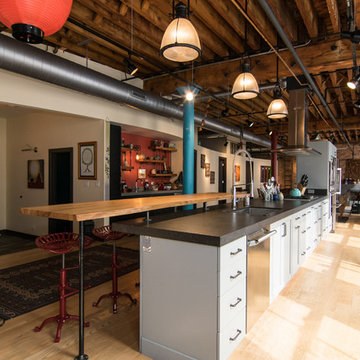 Printers Row Loft Interior Renovation