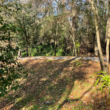 Piney Woods Project