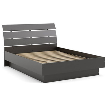 Tvilum Scottsdale Contemporary Wood Platform Queen Bed in Coffee