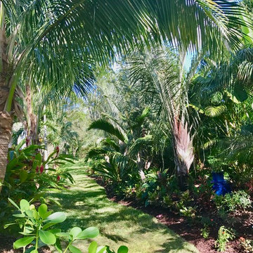 Residential Landscape Design