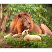 Jennifer Ives's photo