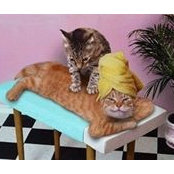 Foto von Lynette McWilliam