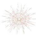 Pizzale Design Inc.'s profile photo