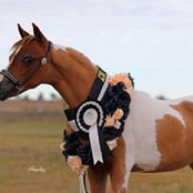 Renae Kingston's photo