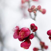 Lynn E. Rallos's photo