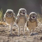 Christy Fairman's photo