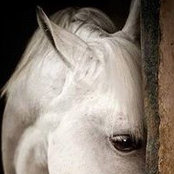 Lisa Pinney's photo