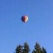 Gary Shaffer's photo