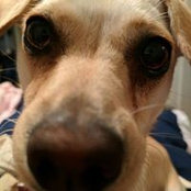 Krista Claassen's photo