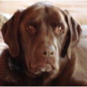 Kim Krech's photo