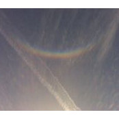 Stephenie Seppen's photo