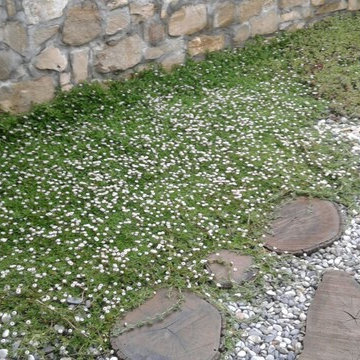 Giardino Privato a Bergamo