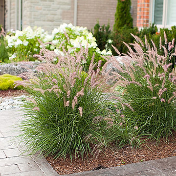 Provence Garden