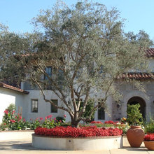 Country Homes