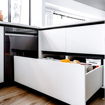 Swedish-Style Kitchen in Michigan