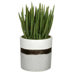House of Silk Flowers, Inc. - Artificial Sea Aloe, Sanded White/Bronze/Grey Ceramic - You will never have to worry about caring for your succulents again with this artificial sea aloe handcrafted by House of Silk Flowers. This arrangement features an grouping of artificial aloes "potted" in a sanded white/bronze/grey ceramic vase measuring 6" diameter x 6.25" tall. The aloes have been arranged for 360*-viewing. The overall dimensions are measured leaf tip to leaf tip, from the bottom of the planter to the tallest leaf tip: 6" diameter X 12" tall. Measurements are approximate, and will be determined by your final shaping of the plant upon unpacking it. No arranging is necessary, only minor shaping, with the way in which we package and ship our products. This product is only recommended for indoor use.