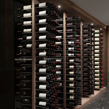 Luxe Modern Cellar In Illionois