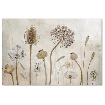 Mandy Disher 'Growing Old' Canvas Art, 47x30