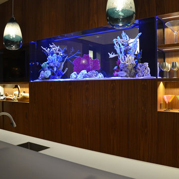 Oceanfront built-in Aquarium