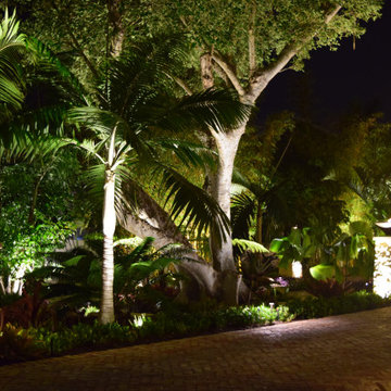 Dream Island Paradise - Evening Lighting