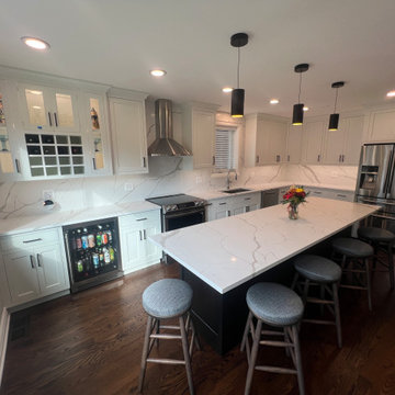 Chicago Kitchen/Dining Renovation