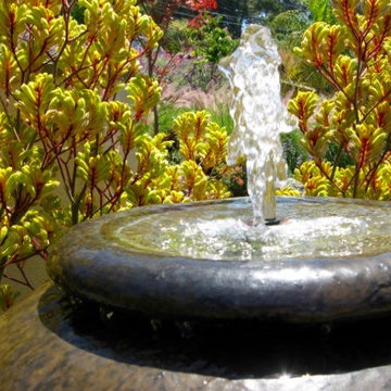 Sunken Garden