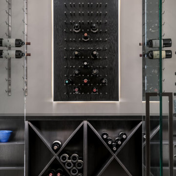 Modern Wine Cellar, South Barrington IL