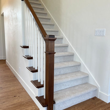 Bright Cottonwood in De Pere