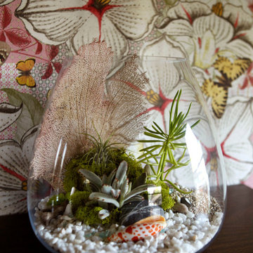 Terrarium I made