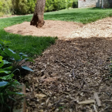 Glendale Landscape Rehab