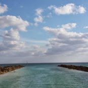 Brittany Bs foto