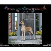 Ava Nelson's photo