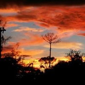Lisa Powell's photo