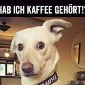 Foto von Ela Ecker