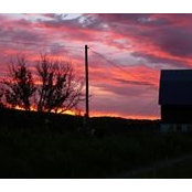 LeeAnn MacPherson's photo