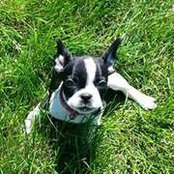 Jake Erneさんの写真