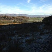 Avril Mcguire's photo