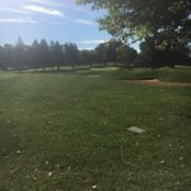Miah Camp's photo
