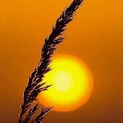 Nestor Hise's photo