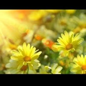 Chawntel Halcom-Zehrさんの写真