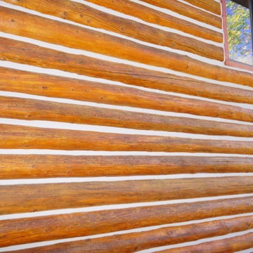 Log Home Restoration Canyon City Colorado