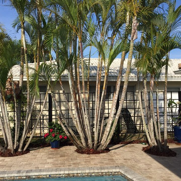 Pool trellis wall with Posts