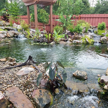15 x 30' Pond with double waterfalls in Longwood, Florida